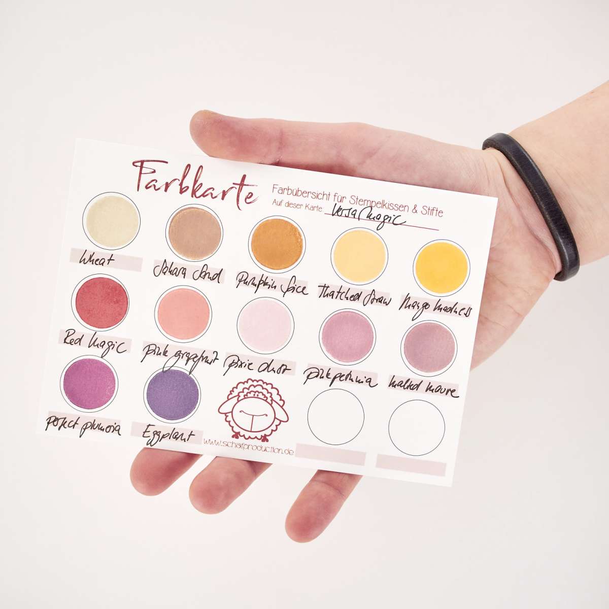 Minkissy Nagellack-Farbkarte – 25-teiliges Set Mit Silikon-Display, Öl Und Kleber – Praktisch Für Zu Hause & Nagelstudio