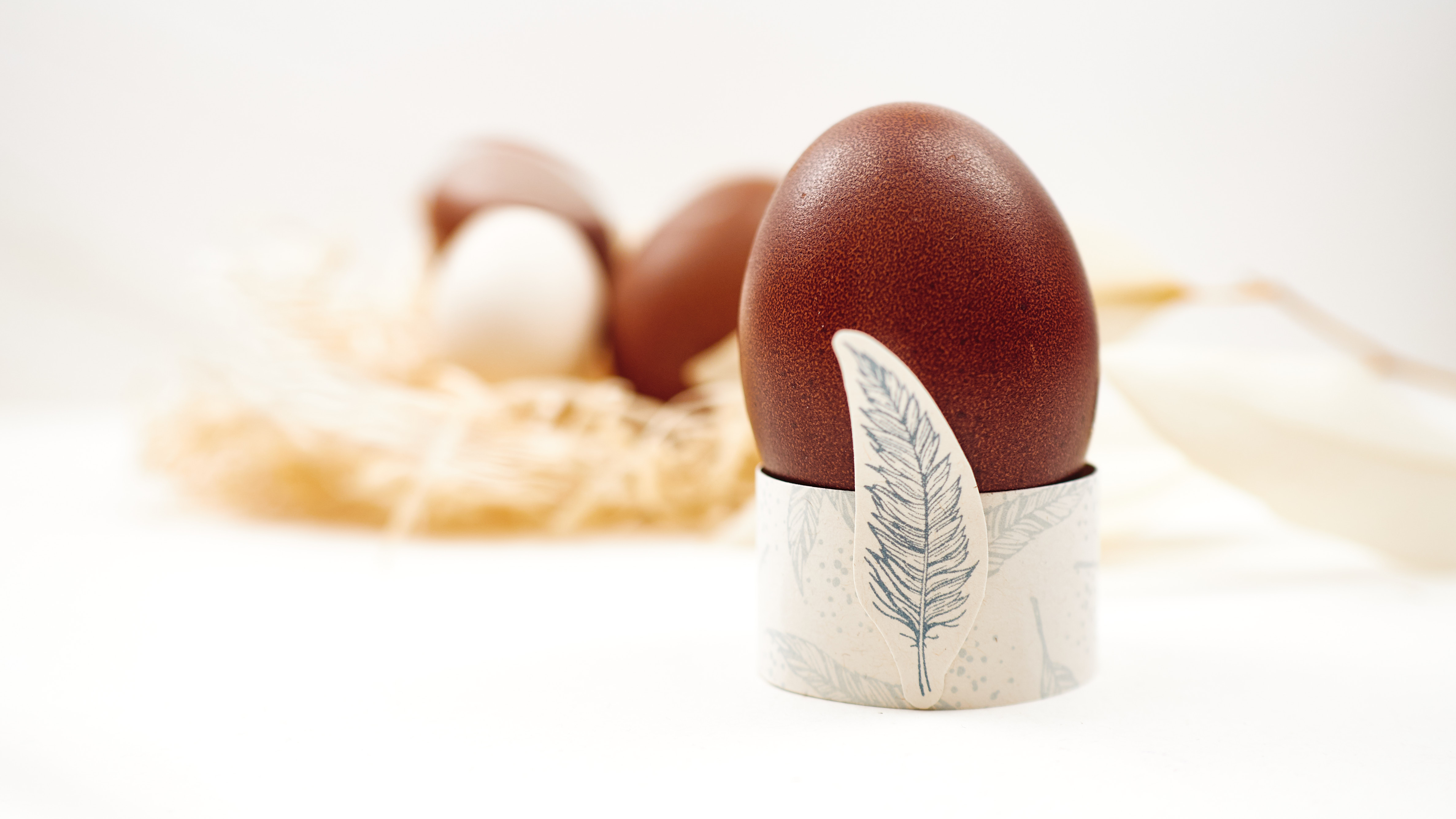 Eierbecher-aus-Papier-mit-Federmotiv-D